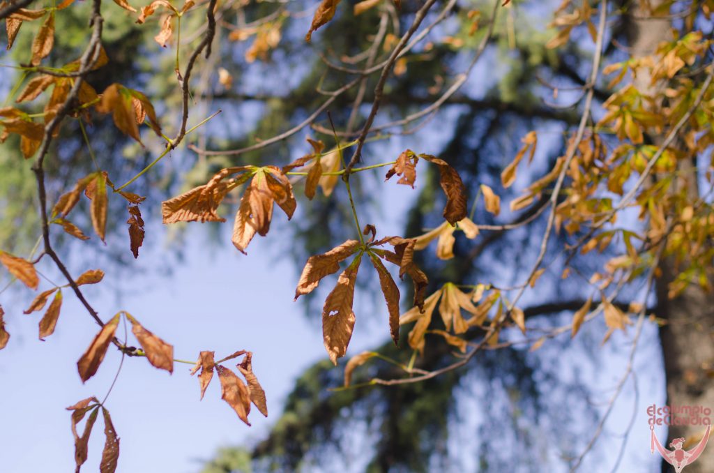 parque-berlinotono14-9