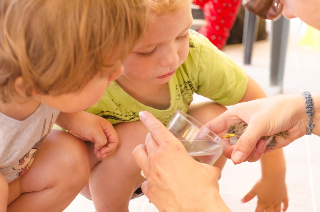 Guardería Sanchinarro el columpio