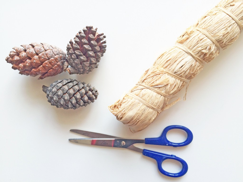 Disfraz casero waldorf