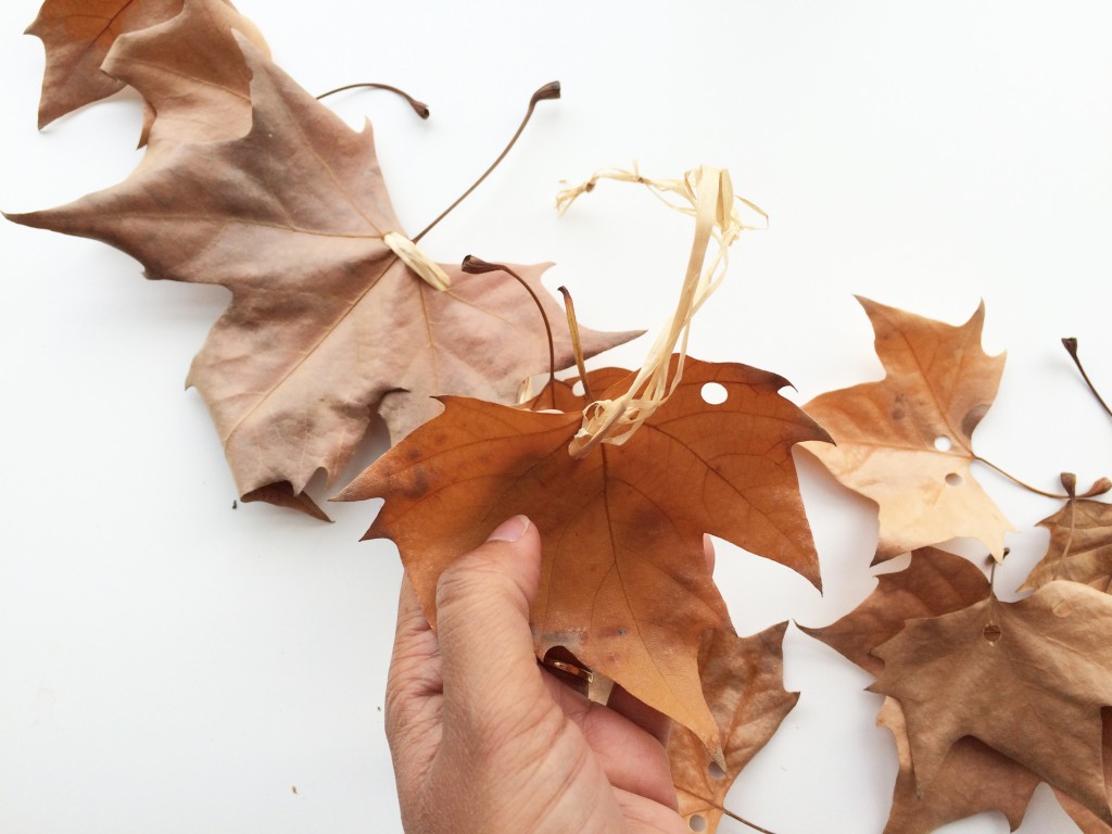 Cinturón de hojas diy