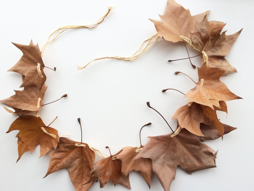 Cinturón duende del bosque